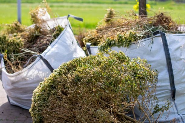Best Residential Junk Removal  in Basile, LA