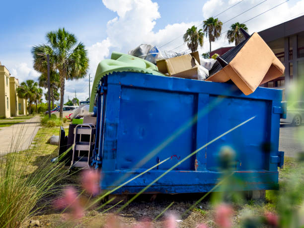 Best Dumpster Rental Services  in Basile, LA